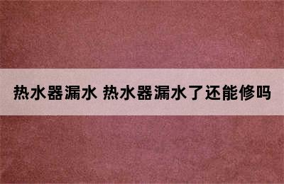 热水器漏水 热水器漏水了还能修吗